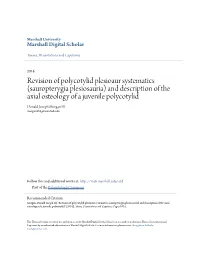 Revision of Polycotylid Plesioaur Systematics (Sauropterygia
