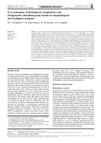 A Re-Evaluation of Neotropical Junghuhnia S.Lat. (Polyporales, Basidiomycota) Based on Morphological and Multigene Analyses