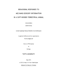 Behavioral Responses to Mechano-Sensory Information in A