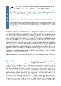 Effect of Bothrops Alternatus Snake Venom on Macrophage Phagocytosis Er