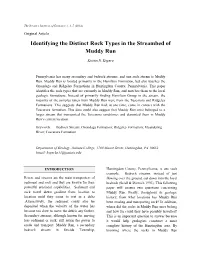 Identifying the Distinct Rock Types in the Streambed of Muddy Run