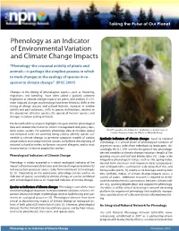 Phenology As an Indicator of Environmental Variation and Climate Change Impacts