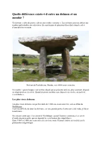 Quelle Différence Existe-T-Il Entre Un Dolmen Et Un Menhir ?