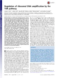 Regulation of Ribosomal DNA Amplification by the TOR Pathway