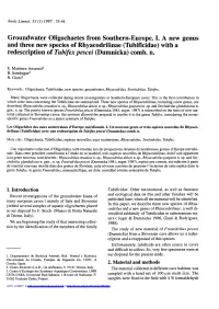 Groundwater Oligochaetes from Southern-Europe. I. a New Genus and Three New Species of Rhyacodrilinae \(Tubificidae\) with A