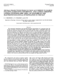 Neural Projections from Nucleus Accumbens To