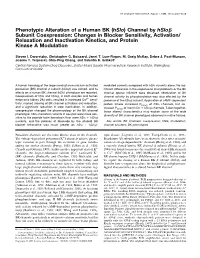 Phenotypic Alteration of a Human BK (Hslo) Channel by Hsloя Subunit