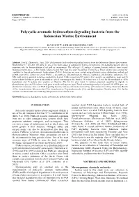Polycyclic Aromatic Hydrocarbon Degrading Bacteria from the Indonesian Marine Environment