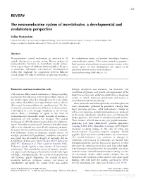 REVIEW the Neuroendocrine System of Invertebrates