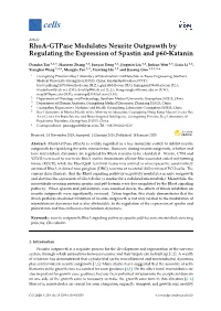 Rhoa-Gtpase Modulates Neurite Outgrowth by Regulating the Expression of Spastin and P60-Katanin