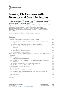 Turning on Caspases with Genetics and Small Molecules