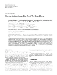 Review Article Microsurgical Anatomy of the Orbit: the Rule of Seven