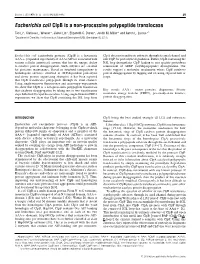 Escherichia Coli Clpb Is a Non-Processive Polypeptide Translocase Tao Li*, Clarissa L