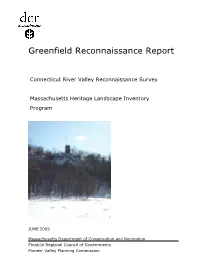 Greenfield Reconnaissance Report
