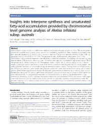 Insights Into Triterpene Synthesis and Unsaturated Fatty-Acid Accumulation Provided by Chromosomal- Level Genome Analysis of Akebia Trifoliata Subsp