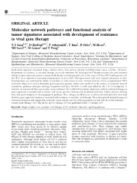 Molecular Network Pathways and Functional Analysis of Tumor