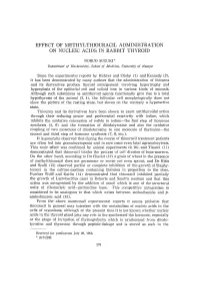 Effect of Methylthiouracil Administration on Nucleic Acids in Rabbit Thyroid