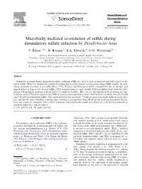 Microbially Mediated Re-Oxidation of Sulfide During Dissimilatory Sulfate