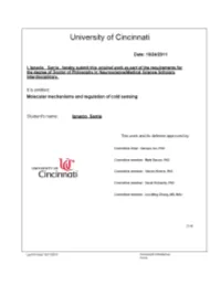 Molecular Mechanisms and Regulation of Cold Sensing