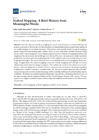 Seabed Mapping: a Brief History from Meaningful Words