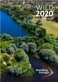 Wild 2020 – Annual Report