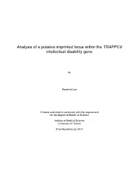 Analysis of a Putative Imprinted Locus Within the TRAPPC9 Intellectual Disability Gene