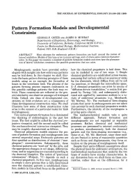 Pattern Formation Models and Developmental Constraints GEORGE F