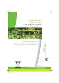 Synthèse Bibliographique – LAMBERT E