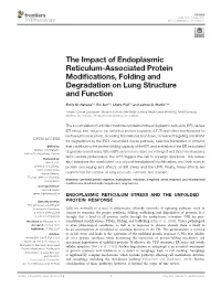 The Impact of Endoplasmic Reticulum-Associated Protein Modifications, Folding and Degradation on Lung Structure and Function