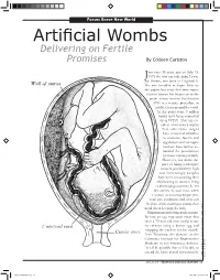 Artificial Wombs Delivering on Fertile Promises by Colleen Carlston