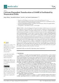 Calcium-Dependent Translocation of S100B Is Facilitated by Neurocalcin Delta