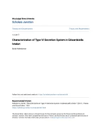 Characterization of Type VI Secretion System in Edwardsiella Ictaluri