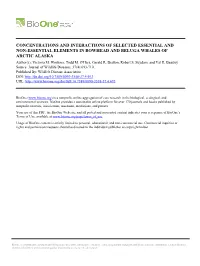 CONCENTRATIONS and INTERACTIONS of SELECTED ESSENTIAL and NON-ESSENTIAL ELEMENTS in BOWHEAD and BELUGA WHALES of ARCTIC ALASKA Author(S): Victoria M
