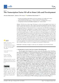 The Transcription Factor NF-Κb in Stem Cells and Development