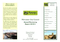 Annual Monitoring Report