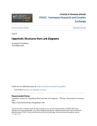 Hyperbolic Structures from Link Diagrams