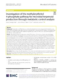 Investigation of the Methylerythritol 4-Phosphate Pathway for Microbial