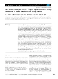 PGC1 Encoded by the PPARGC1A Gene Regulates Oxidative Energy Metabolism in Equine Skeletal Muscle During Exercise