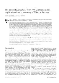 The Castorid Steneofiber from NW Germany and Its Implications for the Taxonomy of Miocene Beavers