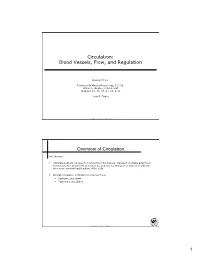 Blood Vessels, Flow, and Regulation Overview of Circulation