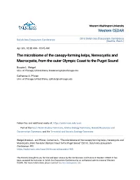 The Microbiome of the Canopy-Forming Kelps, Nereocystis and Macrocystis, from the Outer Olympic Coast to the Puget Sound