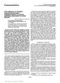 Cell Adhesion Or Integrin Clustering Increases Phosphorylation of A