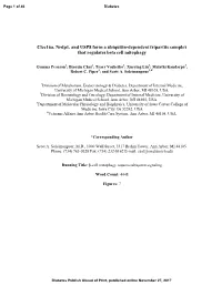Clec16a, Nrdp1, and USP8 Form a Ubiquitin-Dependent