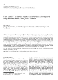 Morphological Variation, Plumage and Song in Pacific Island Acrocephalus Warblers
