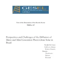Perspectives and Challenges of the Diffusion of Micro and Mini