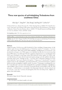 Three New Species of Soil-Inhabiting Trichoderma from Southwest China