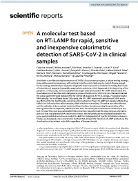 A Molecular Test Based on RT-LAMP for Rapid, Sensitive and Inexpensive