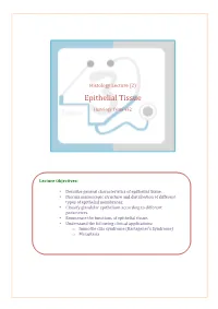 Epithelial Tissue