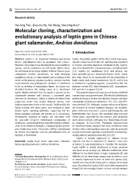Molecular Cloning, Characterization and Evolutionary Analysis of Leptin