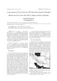 A New Species of Paracedicus Fet, 1993 from Iran (Aranei: Cybaeidae)